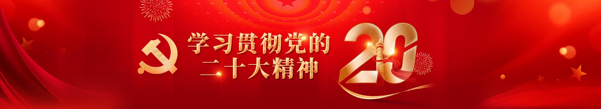 学习贯彻党的二十大精神